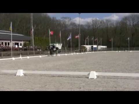 Bailamos Biolley Zandhoven april 2013 Qualif VERDEN