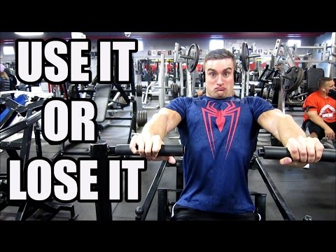 Ogus 753 Results | Testing Maxes | My New Routine