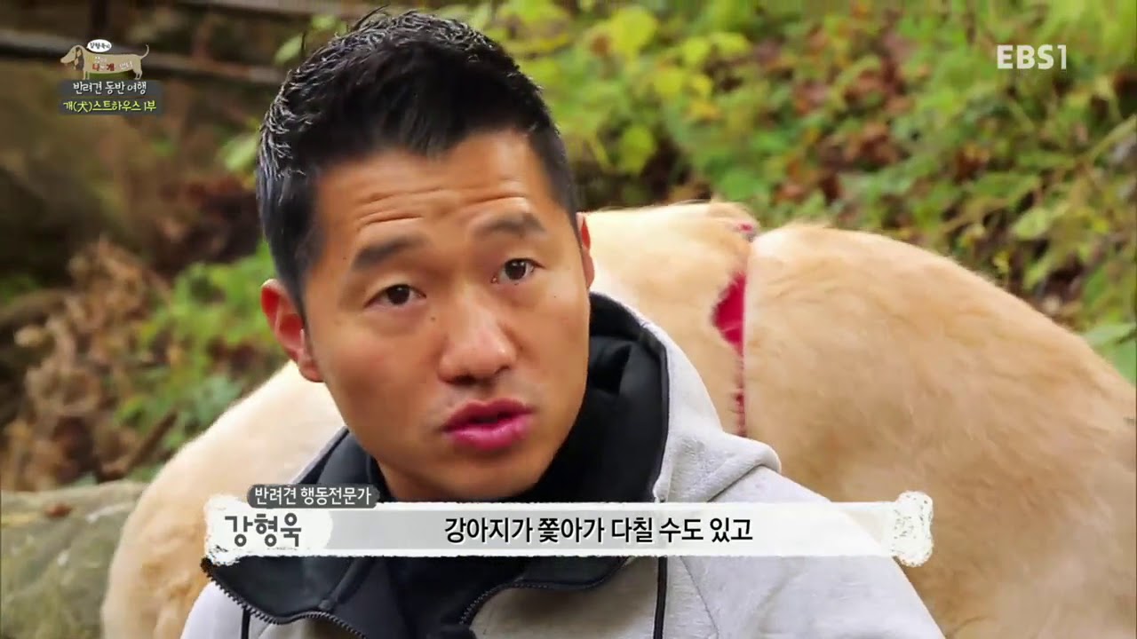 세상에 나쁜 개는 없다 - 어서와~ 강형욱의 개(犬)스트하우스_#003
