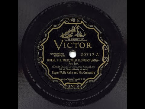 Roger Wolfe Kahn & His Orch - Where The Wild, Wild Flowers Grow (HOT!!)