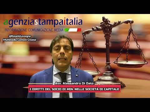 Diritto & Società: I diritti del socio di minoranza nelle Società di Capitale