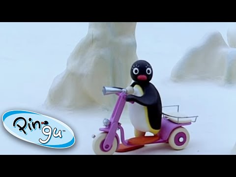 Pingu And His New Scooter!@Pingu Cartoons For Kids - Kids (0-4), Kingdom Kids Zone - Pingu - Official Channel