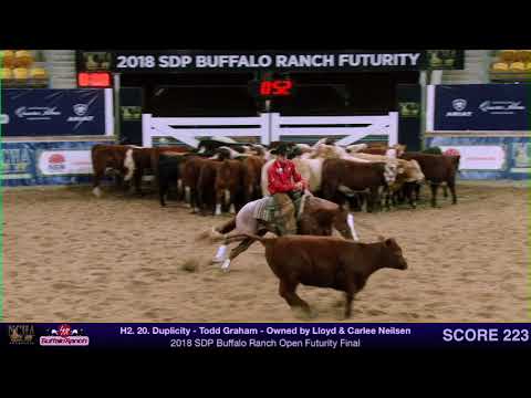 Duplicity & Todd Graham 2018 SDP Buffalo Ranch Open Futurity Champion