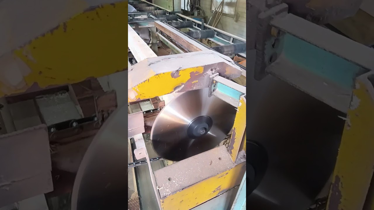 木材を買いに製材工場へ。いつ見ても面白い。#上野木材#そのやま農園