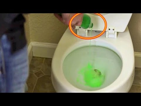 download lagu mp3 mp4 Dawn Toilet Bowl Cleaner, download lagu Dawn Toilet Bowl Cleaner gratis, unduh video klip Dawn Toilet Bowl Cleaner