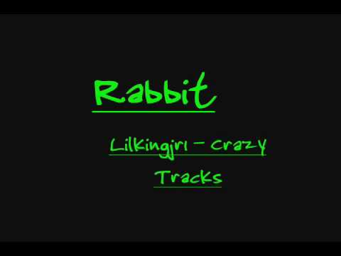 Rabbit - Crazy Tracks ~ Custom Song