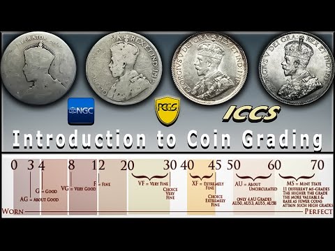 How to Grade Coins: Beginners Guide to the Sheldon Scale, Numismatics & Canadian Coin Collecting!!