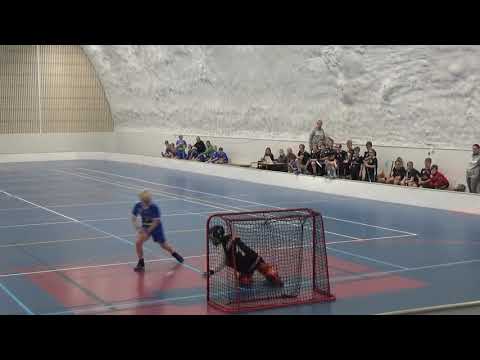 maalikooste oxdog D0607 WildDuckz0708 vs LNM-06 17.11.2019