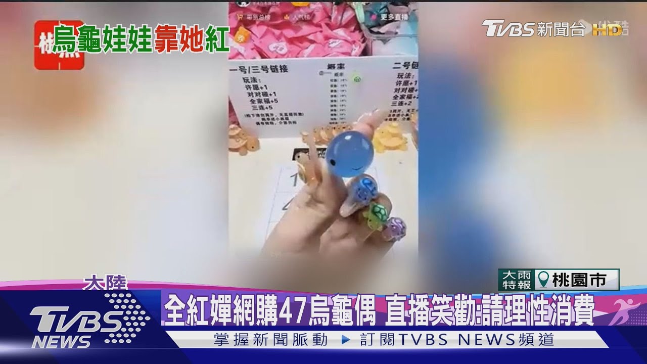 全紅嬋網購47烏龜偶！直播笑勸：請理性消費