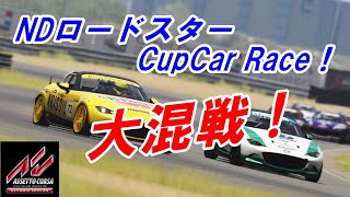 【ASSETTO CORSA】NDロードスター CupCar Race！