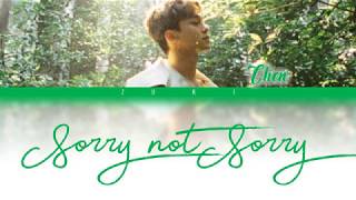 Sorry Not Sorry (하고 싶던 말) - CHEN [HAN/ROM/ENG COLOR CODED LYRICS]