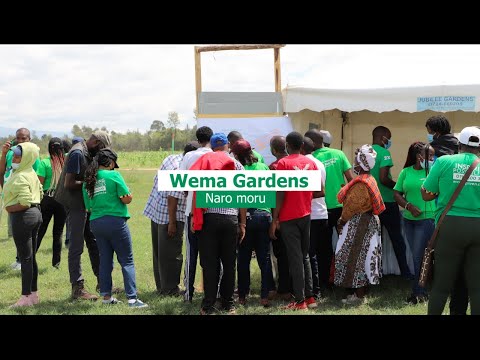 Create Future Wealth at Wema Gardens Naro Moru