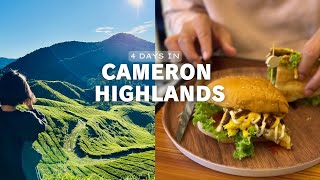 Best Sunrise Spot in Cameron Highlands ⛰️ Is this GIGANTIC Burger worth it?