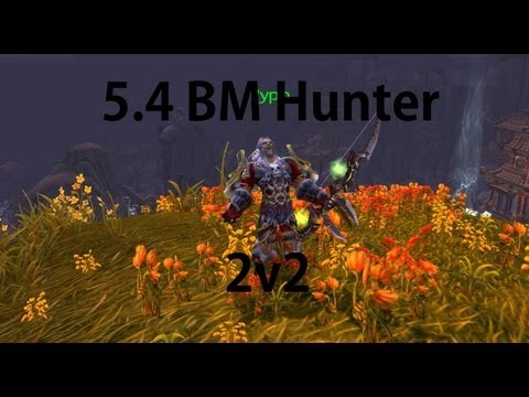 5.4 BM Hunter Arena - BM Hunter, Ret Pally 2v2 - World of Warcraft - Mist of Pandaria - Patch 5.4