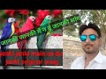 जानकी जानकी मैं न दूं जानकी Janki Janki Main Na Du Janki