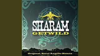 Get Wild (Steve Angello Remix)