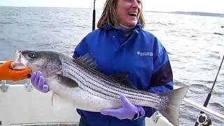 Chesapeake Bay Fishing Action #4