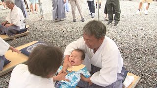 大きな泣き声で丈夫に育って⋯焼津神社で「神ころがし」 成長願い「アンエットン」の掛け声響く＝静岡・焼津市