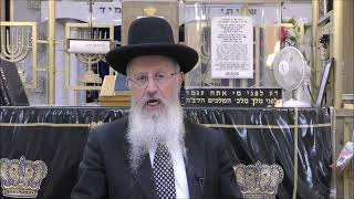 הגאון הרב אברהם יוסף שליט"א דיני והלכות תשעה באב תשפ"ה (הרב אברהם יוסף) - התמונה מוצגת ישירות מתוך אתר האינטרנט יוטיוב. זכויות היוצרים בתמונה שייכות ליוצרה. קישור קרדיט למקור התוכן נמצא בתוך דף הסרטון