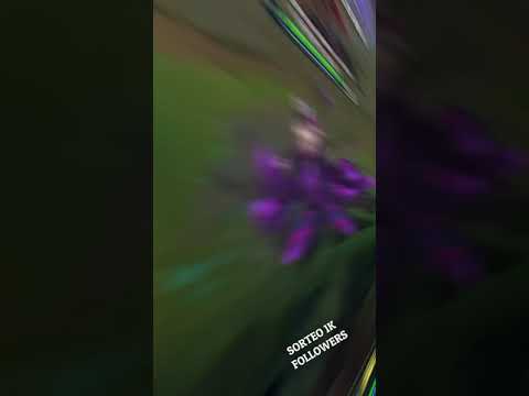 Review NEW Coven Ahri