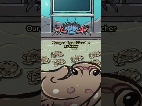 Olive Flounder 🪁🐟 #animation #original #cartoon