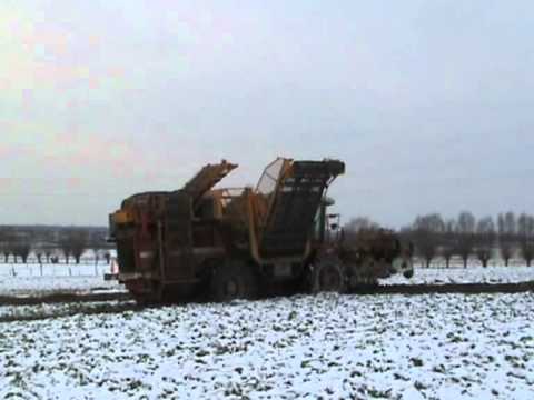 Loonwerken Vereecke - Hooglede