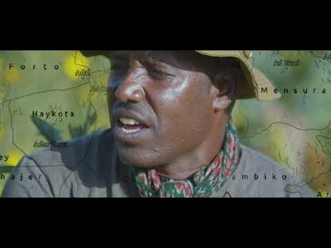 "ባርካ" ብስዉእ ዑቕባጋብር ገ/ትንሳኤ -  በራኺ ገ/መድህን   "BARKA" BY OKBAGABIR G/TINSAE - BERAKI G/MEDHIN