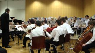 preview picture of video 'Symphonieorchester Musikschule Hainburg 13.2.2013 Celebration & What a wonderful world.MP4'