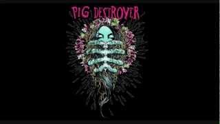 Pig Destroyer - Starbelly (with lyrics)