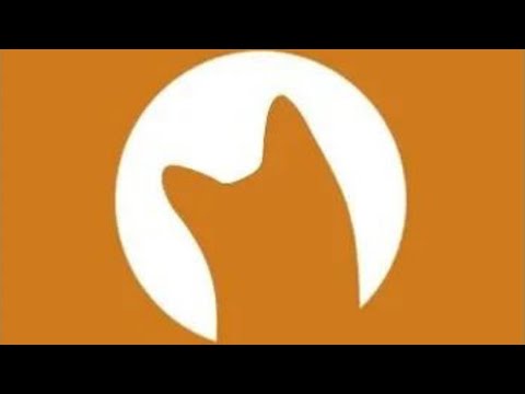 download lagu mp3 mp4 Curiouscat Me, download lagu Curiouscat Me gratis, unduh video klip Curiouscat Me