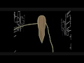 Way Too Good - Rafa Bale Way Too Good