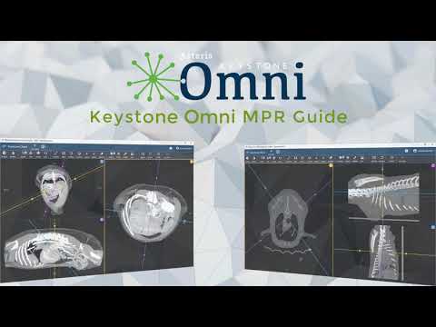 Keystone 2D | MPR Guide