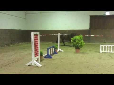 Casall — Contender