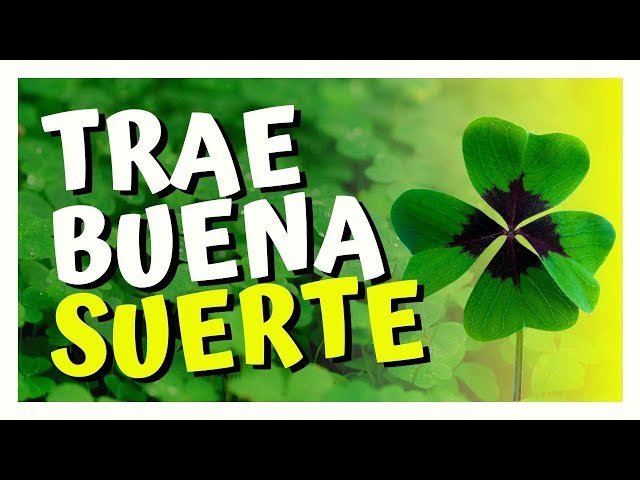 Vídeo relacionado con Good Luck Buena Suerte Moneda de la Suerte con Trébol de Cuatro Hojas y Elefante y Símbolos de la Suerte Moneda Conmemorativa