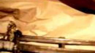 Vampires of New York