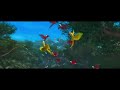 RIO BIRD DANCE