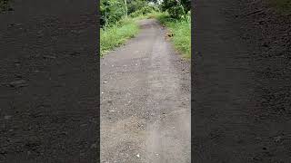 Download lagu After 8 days of heavy rains(5) mp3