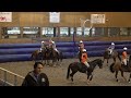 Cheval PS Comp&eacute;tition HORSE BALL 7 ans