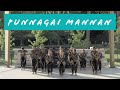 Punnagai Mannan Theme Music Ilayaraja Kamal Haasan Revathi Mathangi Dance Company