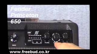 Video thumbnail for [프리버드] 14회 Todays Gear 펜더 일렉기타앰프 PRINCETON 650 by todaysgear