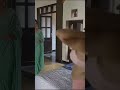 Ullu Webseries Hot Scene Wife Navel Ullu Webseries Nude Youtube