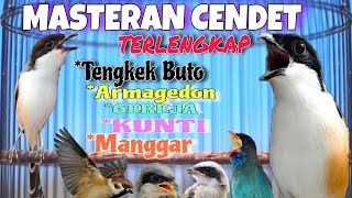 Download lagu MASTERAN CENDET JUARA TERLENGKAP 2025🔴Tengkek Buto Gereja Armageddon Kunti manggar mp3 Download lagu MASTERAN CENDET JUARA TERLENGKAP 2025🔴Tengkek Buto Gereja Armageddon Kunti manggar mp3