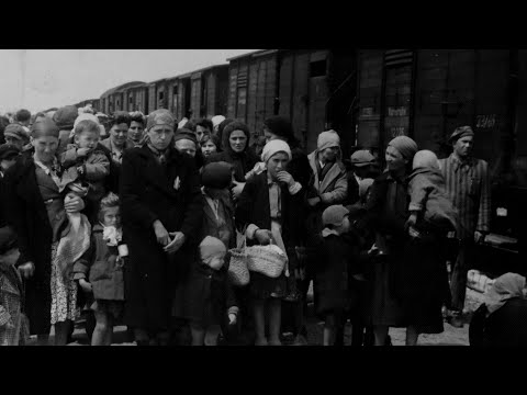 Part 2 | Henri's Story of Surviving The Holocaust: Escaping Belgium