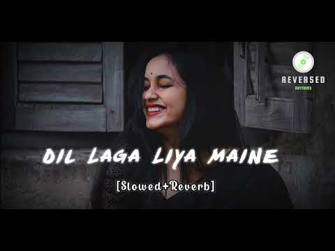 Dil Laga Liya Maine | Slowed Reverb | Lo-fi Song #slowreverb #lofi #uditnarayan #alkayagnik