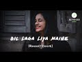 Dil Laga Liya Maine Slowed Reverb Lo Fi Song Slowreverb Lofi Uditnarayan Alkayagnik