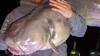preview picture of video 'The beast on the east-james River catfishing #1'