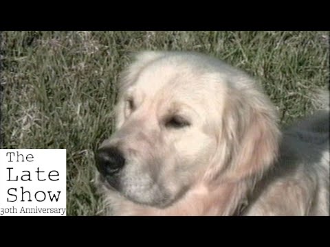 Charlie the Wonder Dog | The Late Show 30th Anniversary
