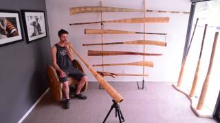 Bamboo Multidrone Didgeridoo BM091