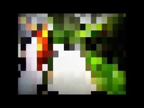 Samuka e Nego Naquele pique ( vídeo clipe oficial ) vdr