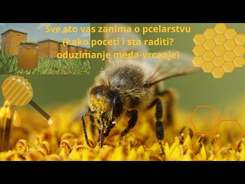 Pcelarstvo Doline Pcinje 2